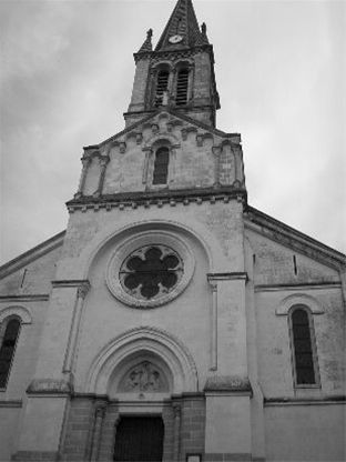 Photos